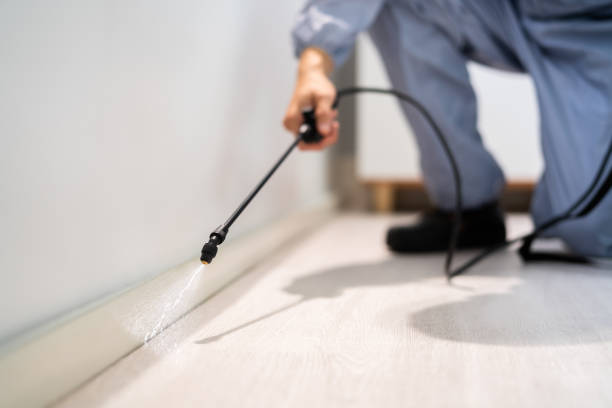 Licensed Pest Control service in Mabton, WA - Show Me Pest Control