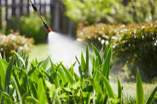 Tamper-Resistant Bait Stations for Rodents in Mabton