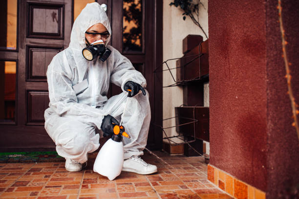 Attic and Crawl Space Rodent Treatment in Mabton