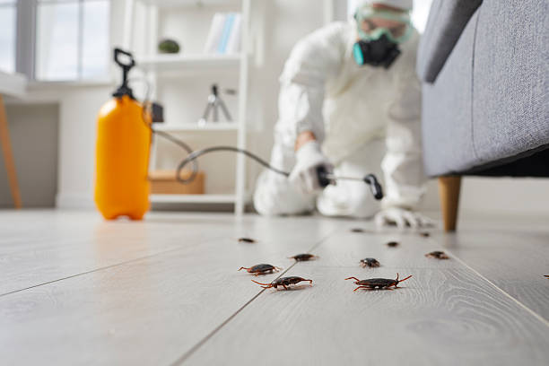 Commercial Rodent Management in Mabton